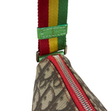 Christian Dior Vintage Rasta Trotter Crossbody Bag