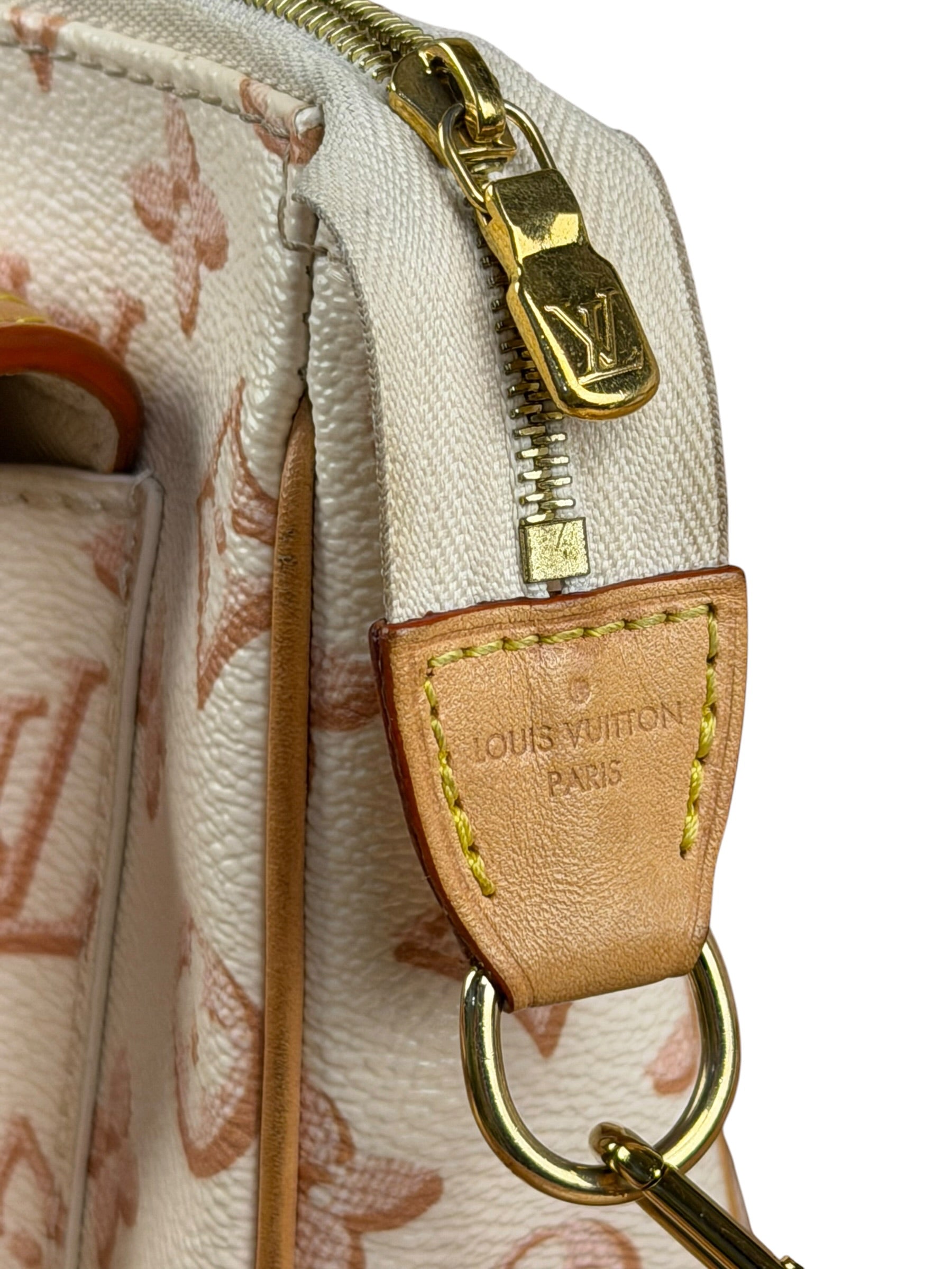 Louis Vuitton Monogram Maxi Multi Pochette
