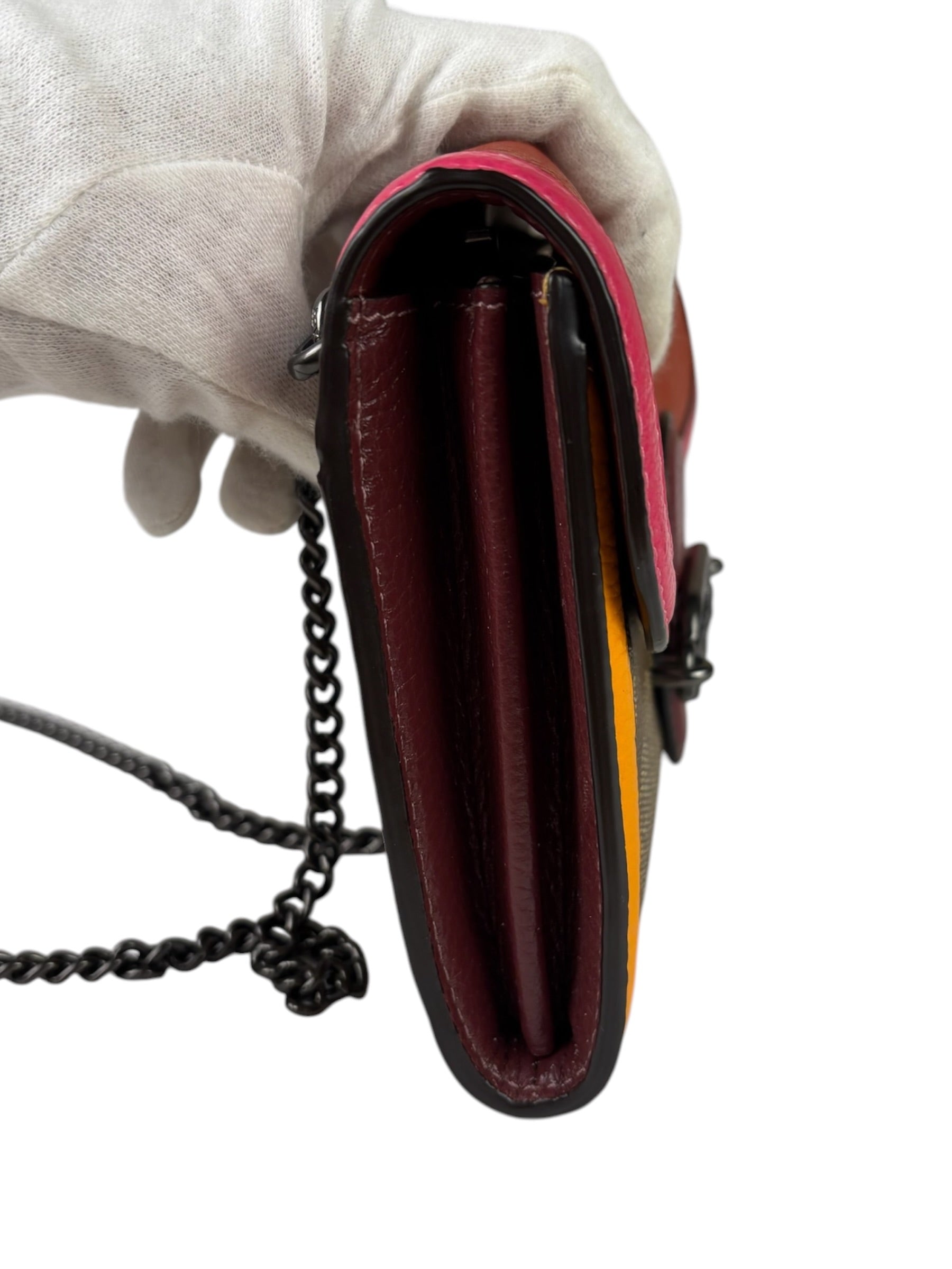 Coach Colorblock Leather Jade Wallet On Chain
