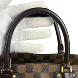 Louis Vuitton Damier Ebene Normandy 2-Way Bag