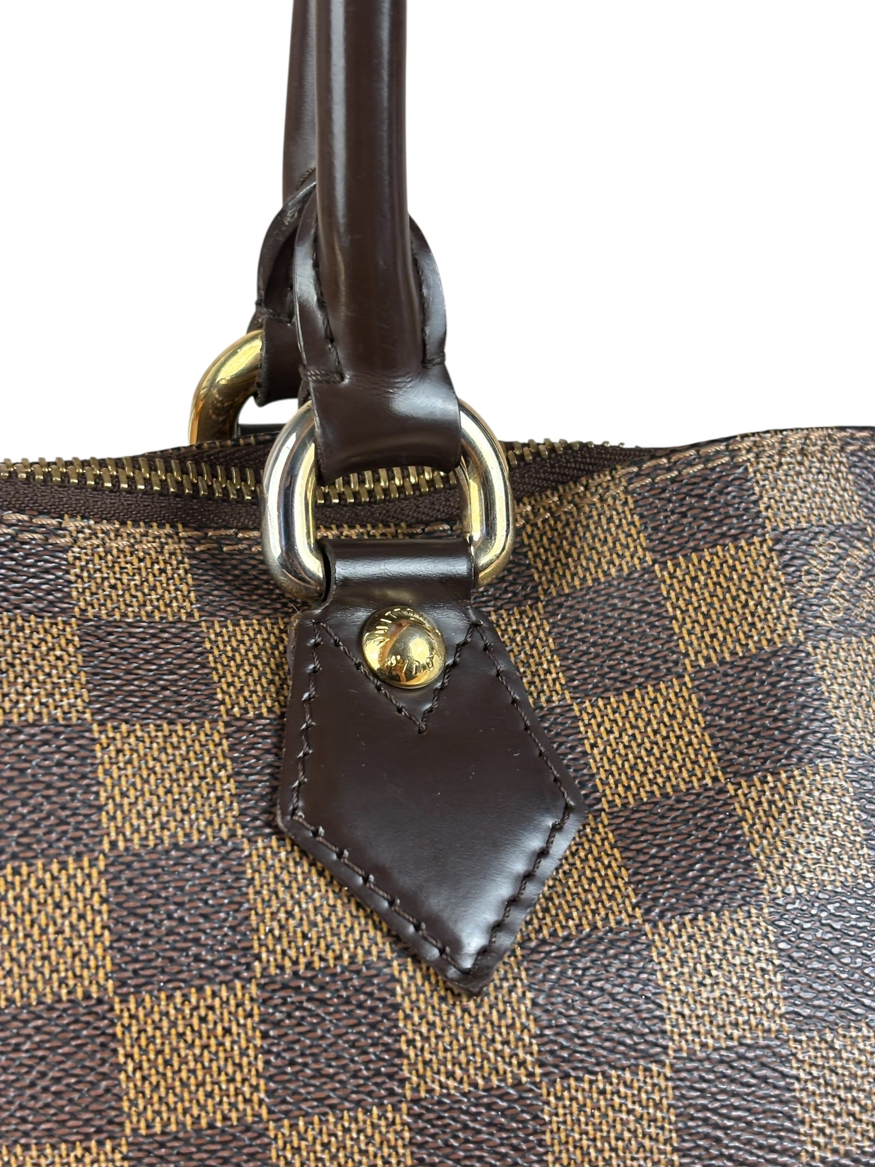 Louis Vuitton Damier Ebene Saleya Tote Bag