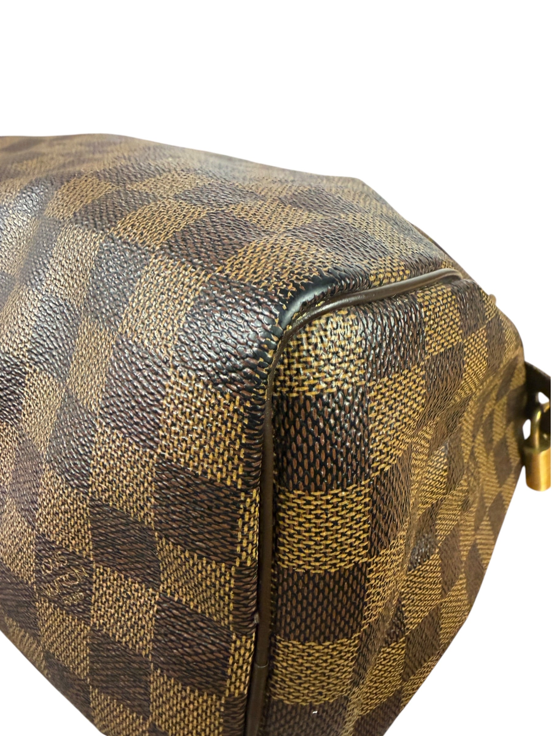 Louis Vuitton Damier Ebene Speedy 25
