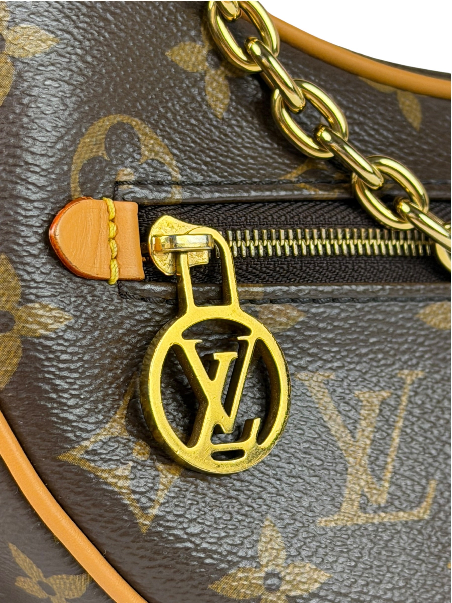 Louis Vuitton Monogram Loop Pochette