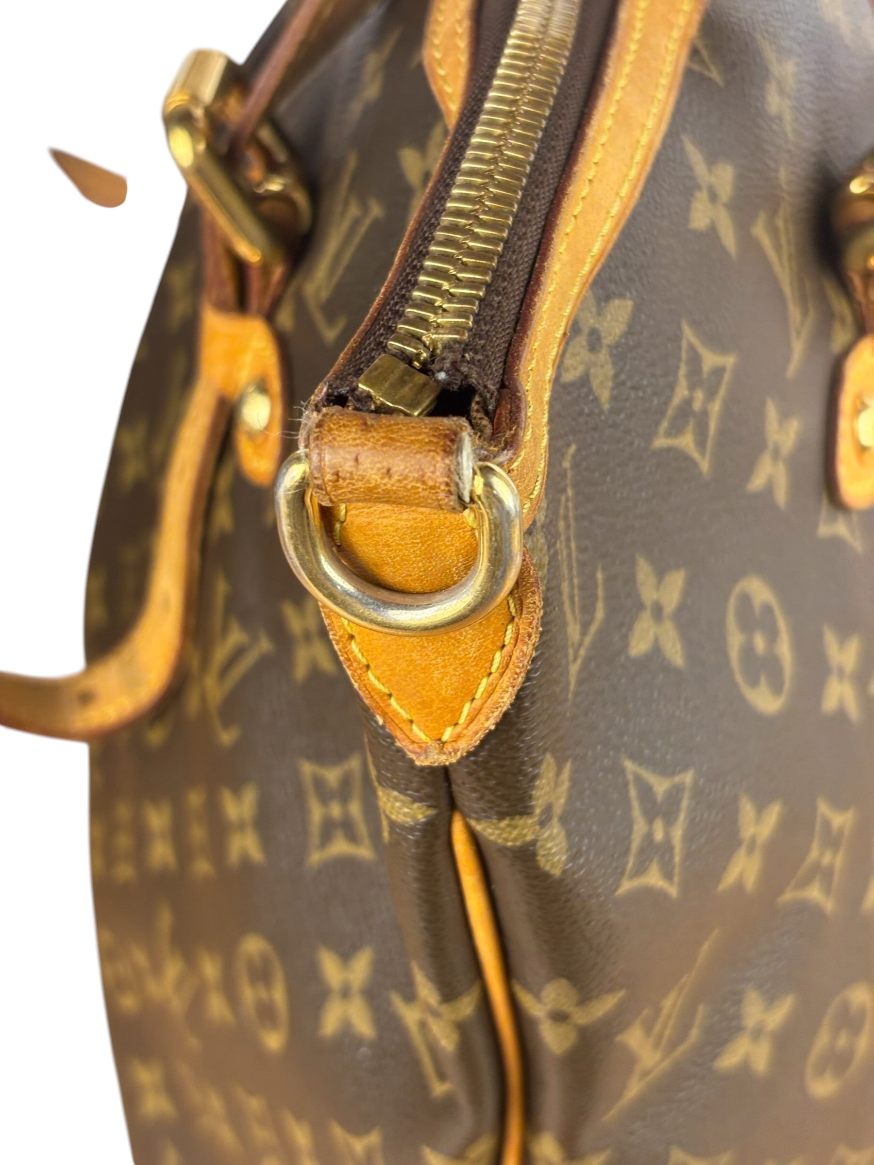 Louis Vuitton Monogram Palermo Shoulder Bag
