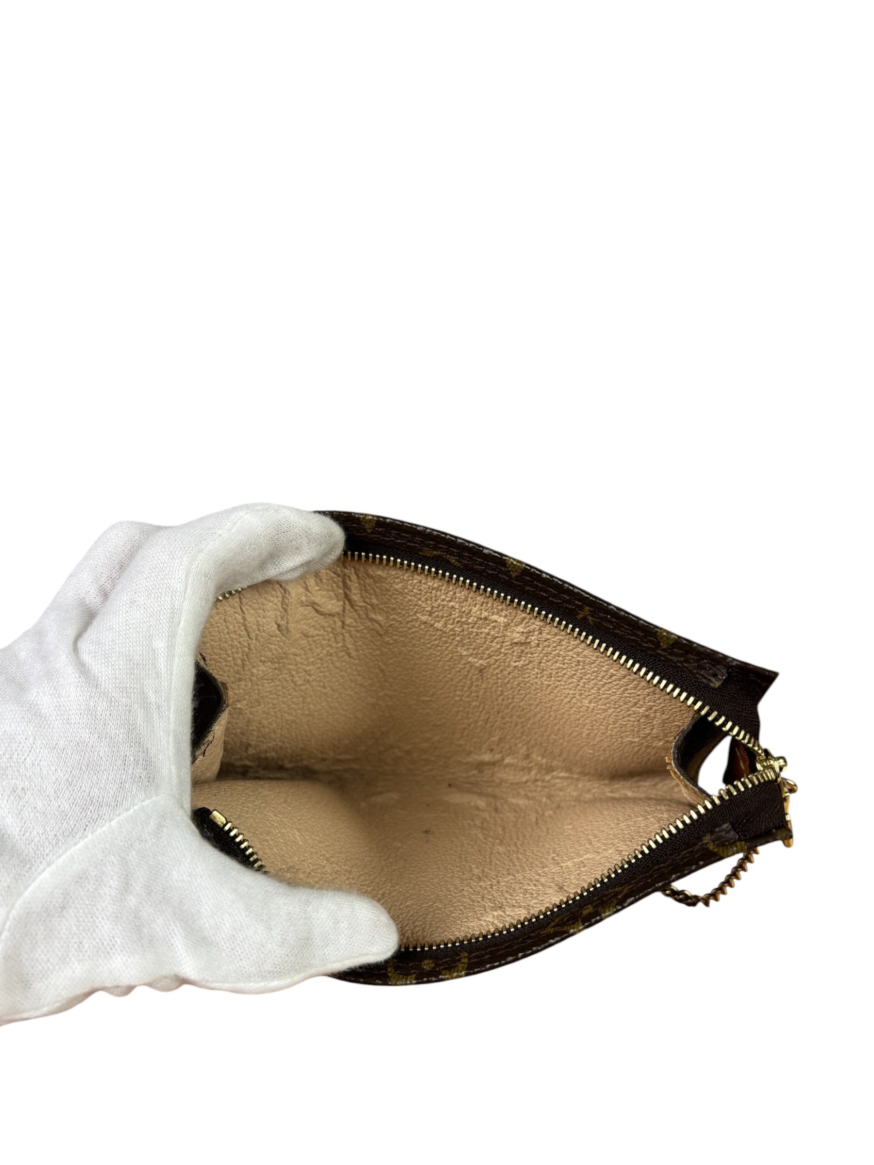 Louis Vuitton Monogram Partition Pouch