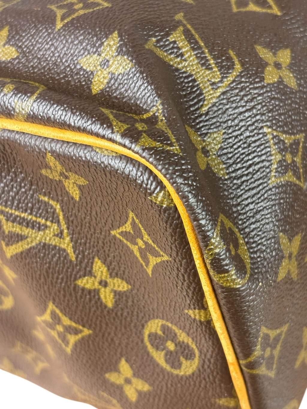 Louis Vuitton Monogram Speedy 25