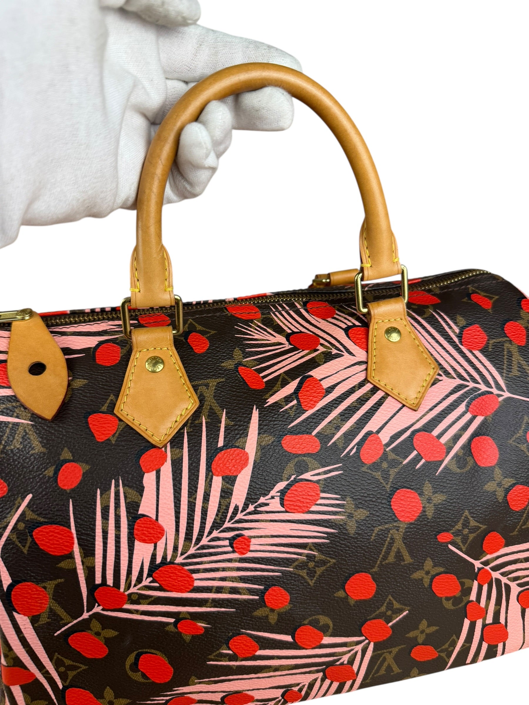 Louis Vuitton Limited Edition Jungle Dots Speedy 30