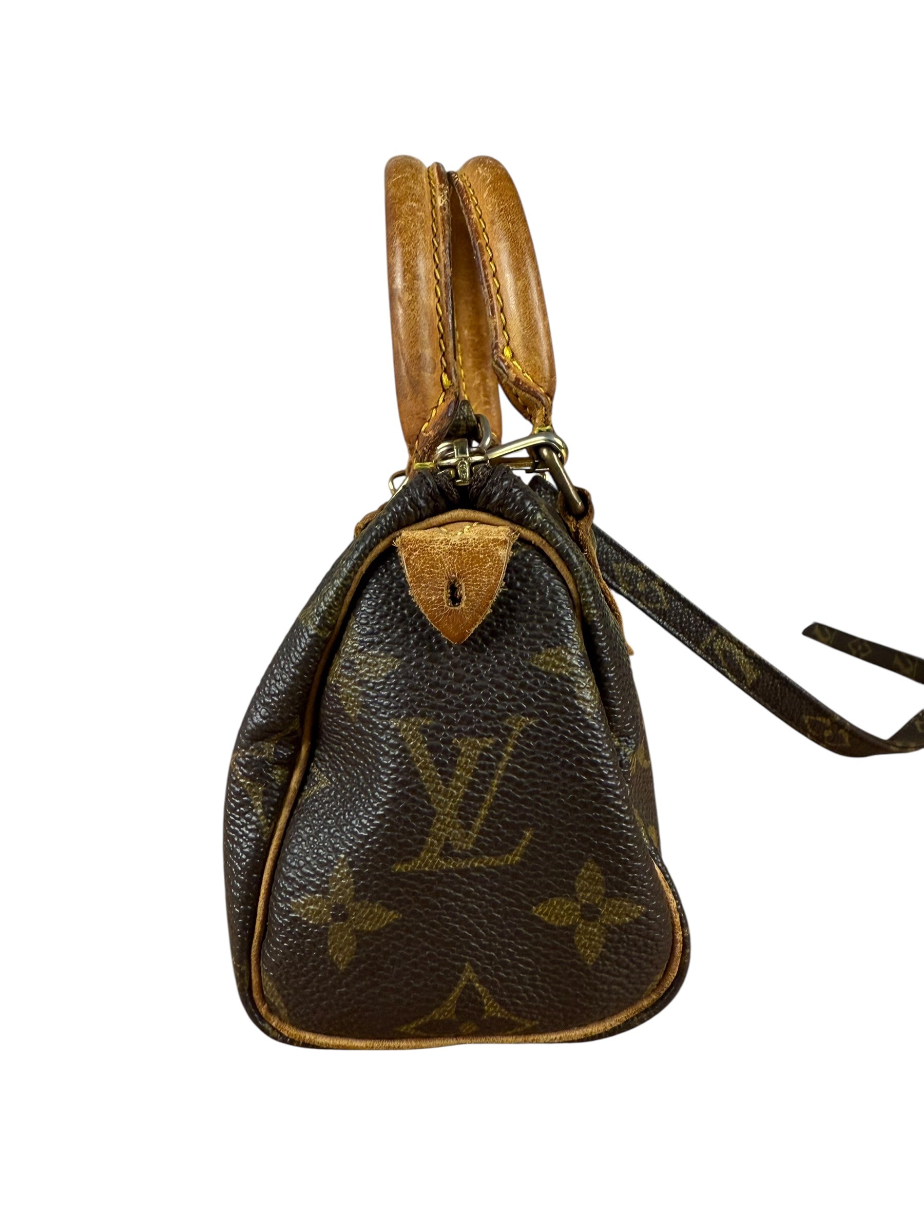 Louis Vuitton Monogram Nano Speedy Bag