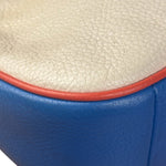 Coach Colorblock Leather Teri Pochette/Crossbody Bag