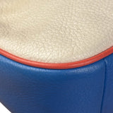 Coach Colorblock Leather Teri Pochette/Crossbody Bag